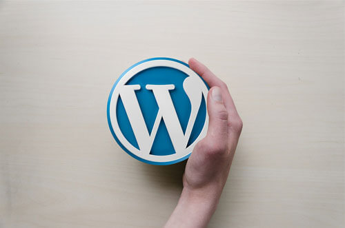 Wordpress Site Kurmak