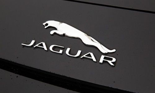 jaguar logosu